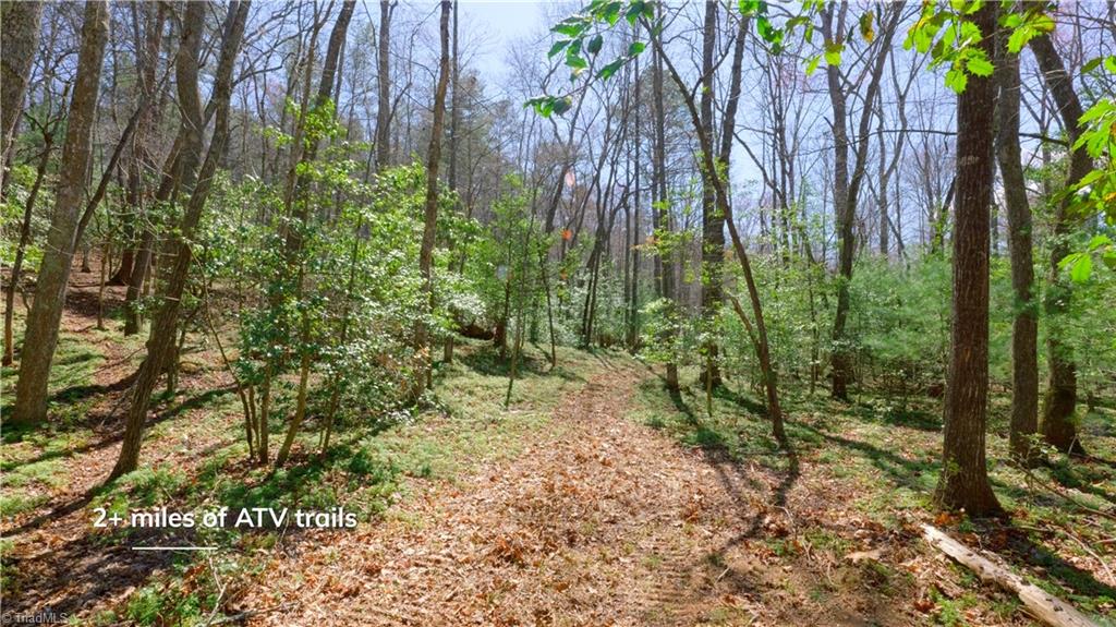 475 Fisher Valley Road Dobson, NC 27017 - Photo 33 of 50