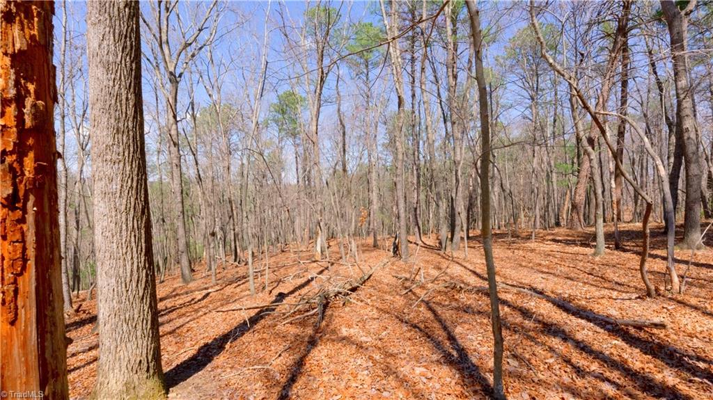 475 Fisher Valley Road Dobson, NC 27017 - Photo 34 of 50