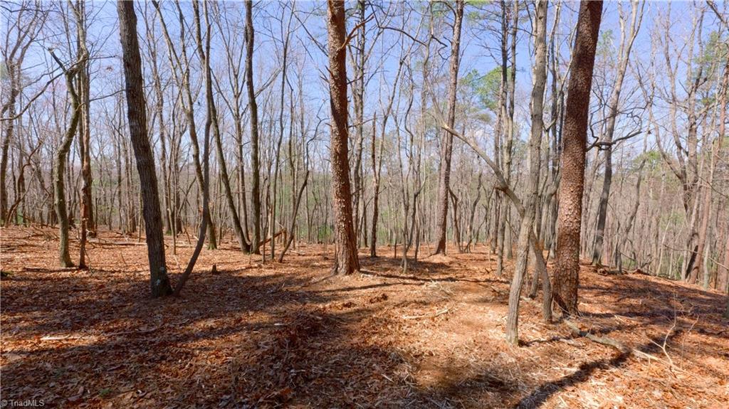 475 Fisher Valley Road Dobson, NC 27017 - Photo 35 of 50