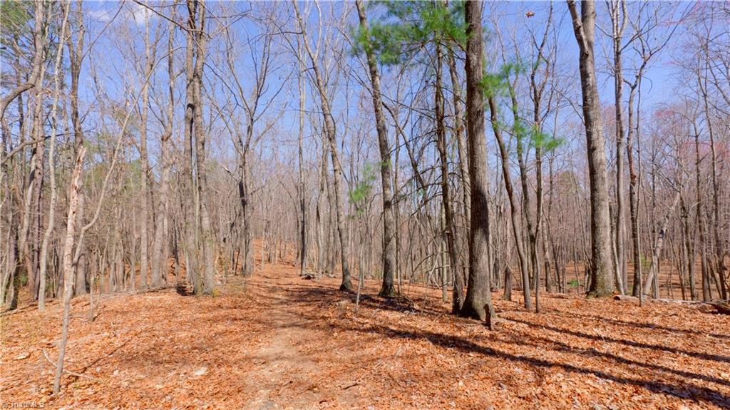 475 Fisher Valley Road Dobson, NC 27017 - Photo 36 of 50