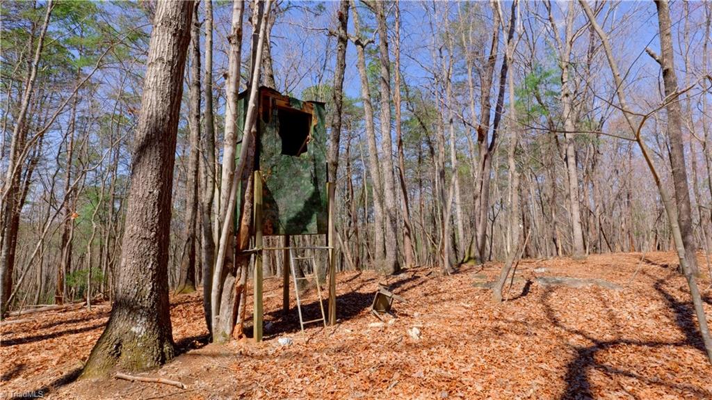 475 Fisher Valley Road Dobson, NC 27017 - Photo 37 of 50