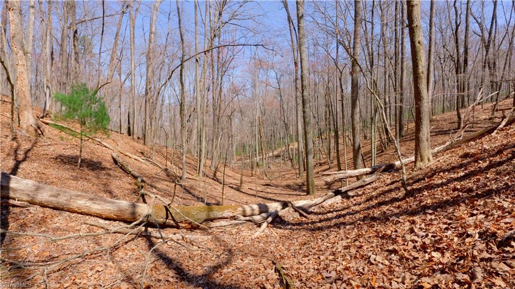 475 Fisher Valley Road Dobson, NC 27017 - Photo 38 of 50