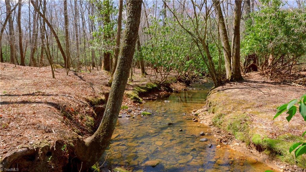 475 Fisher Valley Road Dobson, NC 27017 - Photo 4 of 50