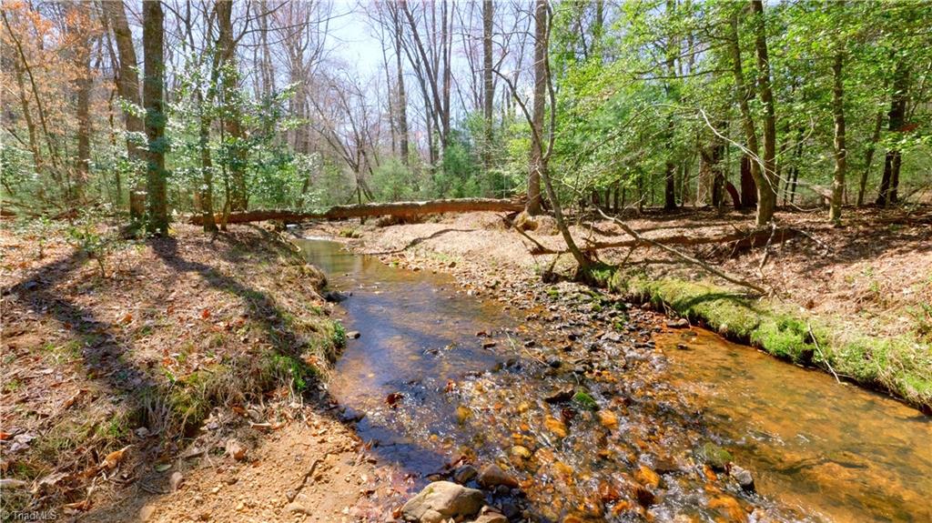 475 Fisher Valley Road Dobson, NC 27017 - Photo 6 of 50