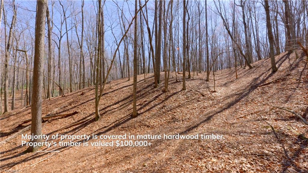 475 Fisher Valley Road Dobson, NC 27017 - Photo 7 of 50