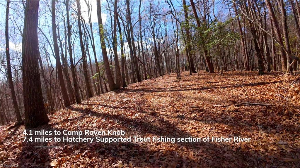 475 Fisher Valley Road Dobson, NC 27017 - Photo 10 of 50