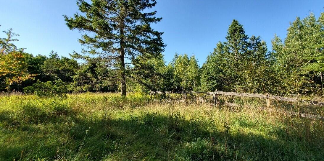 4550 Long Lake Road Alpena, MI 49707 - Photo 16 of 21 Gallery Image 16