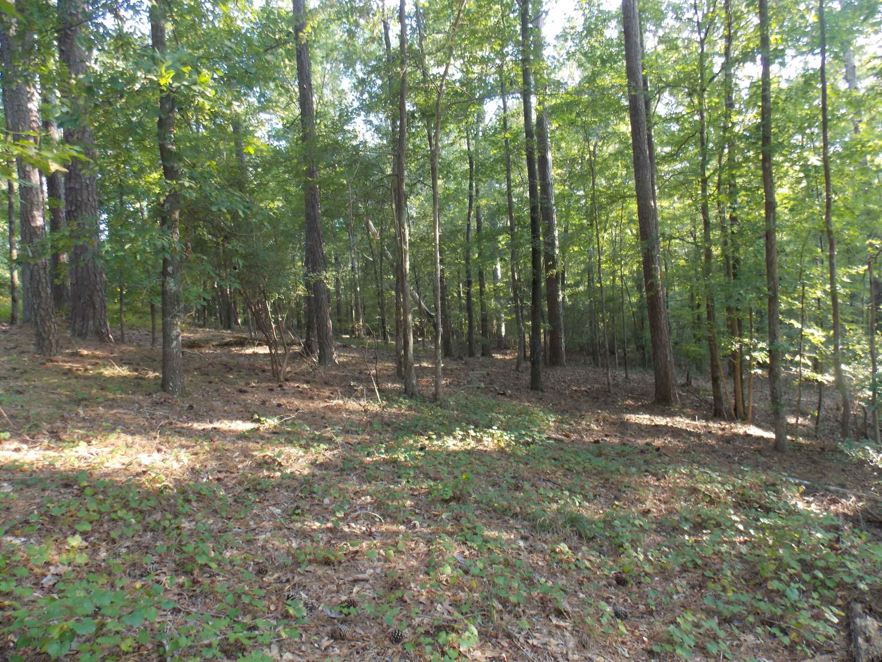 59 Westwind Harbour Road Lincolnton, GA 30817 - Photo 2 of 4 DSCN3347