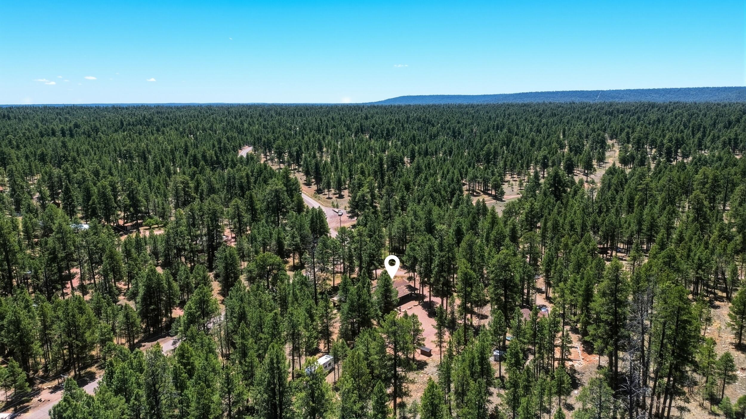 856 Coconino Loop Happy Jack, AZ 86024 - Photo 50 of 51