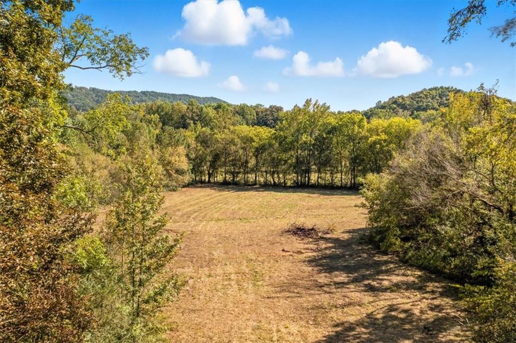 910 Brushtown Road Cisco, GA 30708 - Photo 6 of 30 a view of lake view and mountain view