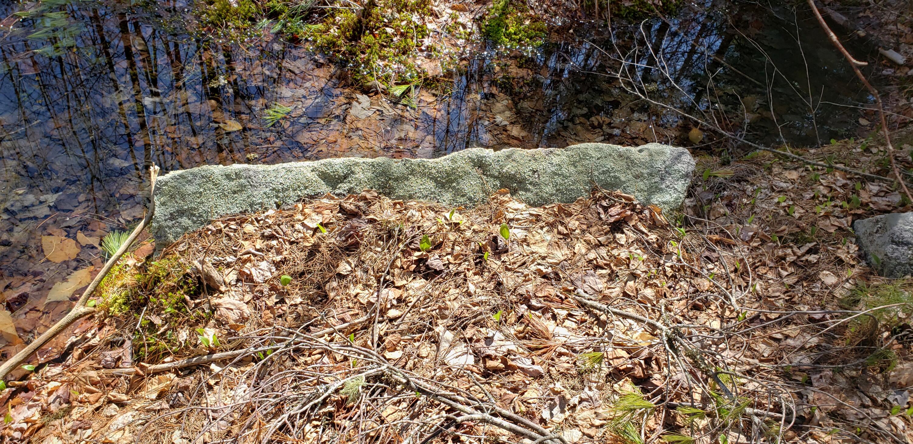 Lot 6 Sabine Road Harrison, ME 04040 - Photo 9 of 9 20210501_151446