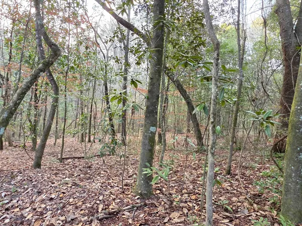 $39,000 | 0 Williams Landing Road, Unit LOT#25, Tallahassee, FL 32310
