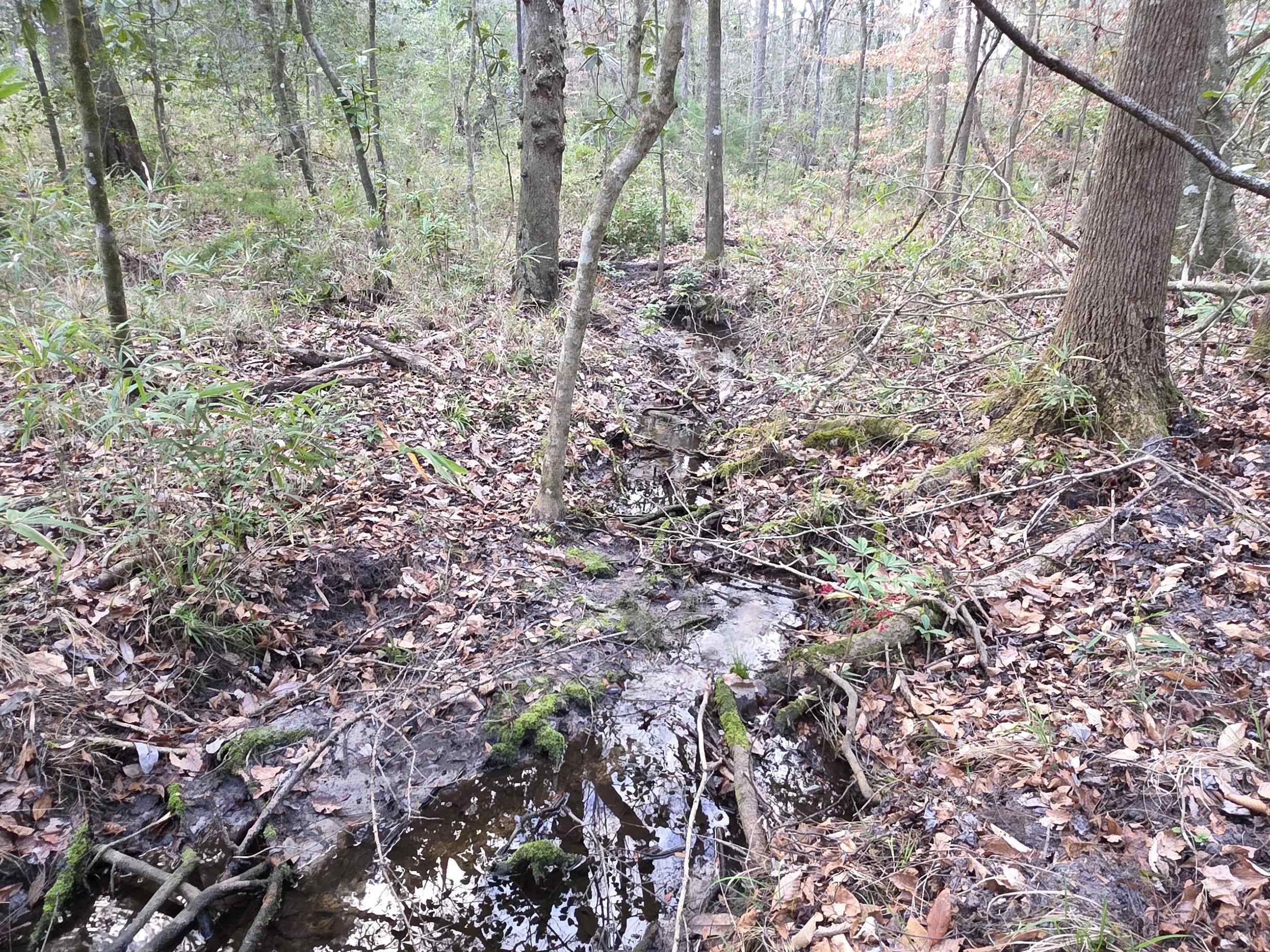 0 Williams Landing Road, Unit LOT#25 Tallahassee, FL 32310 - Photo 2 of 7