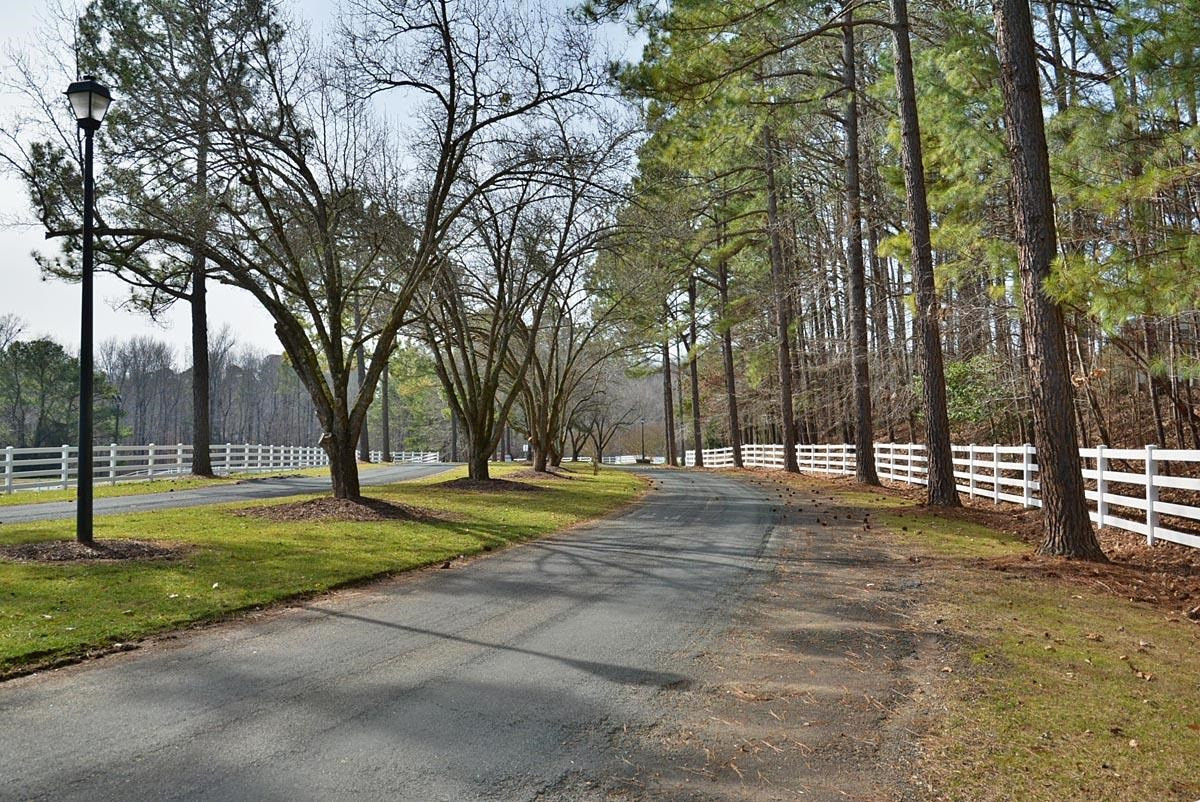 11747 Man O War Trail Raleigh, NC 27613 - Photo 50 of 56 Photo 50