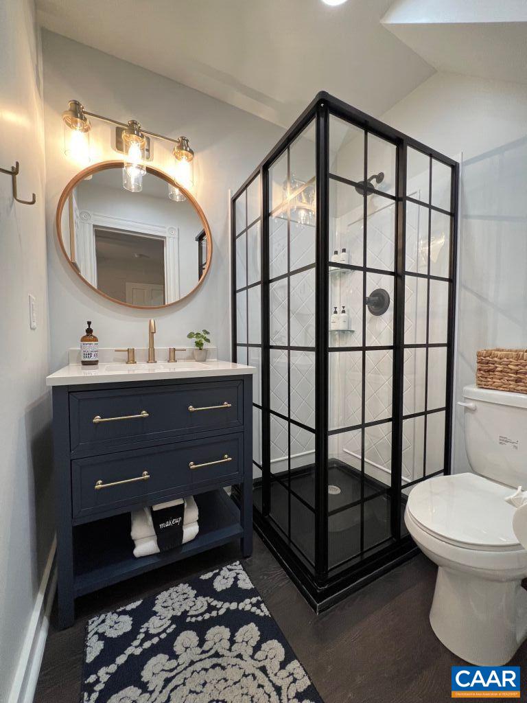 161 Avon Road Afton, VA 22920 - Photo 16 of 39 a bathroom with a toilet a sink and a mirror