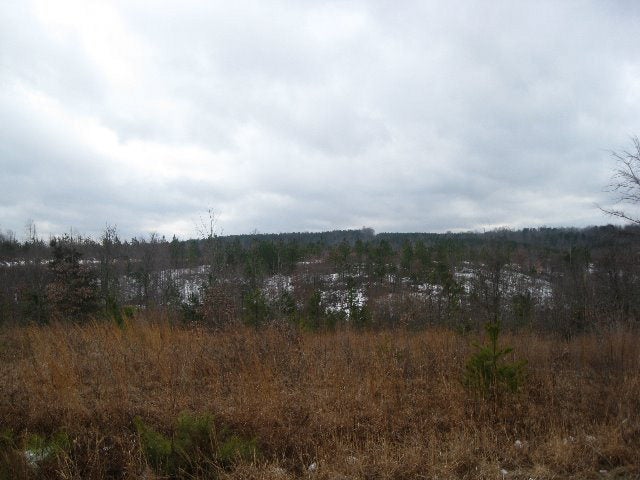 634 New Bethel Road, Unit 6 Meherrin, VA 23954 - Photo 1 of 1 Gallery Image 1