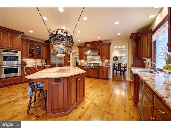 3718 Windy Bush Road New Hope, PA 18938 - Photo 11 of 20 Kitchen