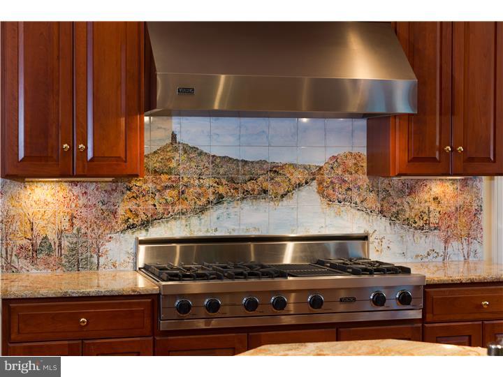 3718 Windy Bush Road New Hope, PA 18938 - Photo 12 of 20 Kitchen