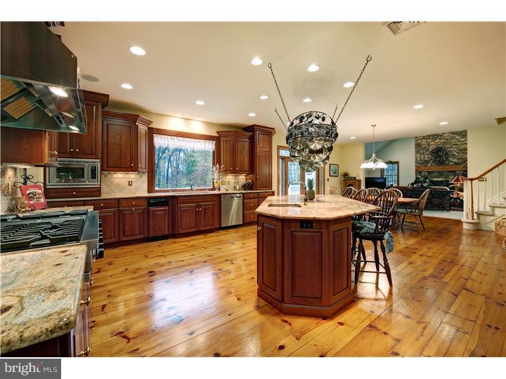3718 Windy Bush Road New Hope, PA 18938 - Photo 9 of 20 Kitchen