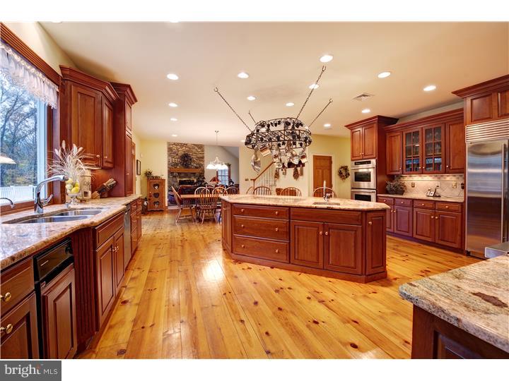 3718 Windy Bush Road New Hope, PA 18938 - Photo 10 of 20 Kitchen