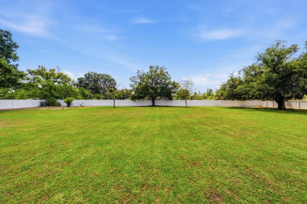 1319 Brooker Road Brandon, FL 33511 - Photo 44 of 52
