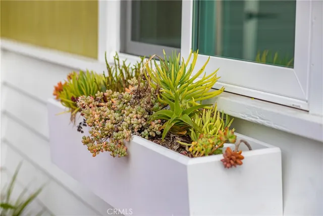 $3,800 | 33751 Copper Lantern Street, Dana Point, CA 92629