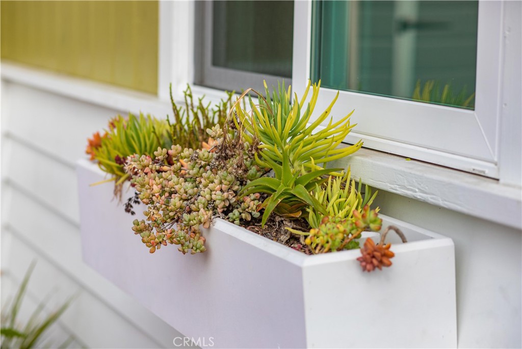 33751 Copper Lantern Street Dana Point, CA 92629 - Photo 27 of 38