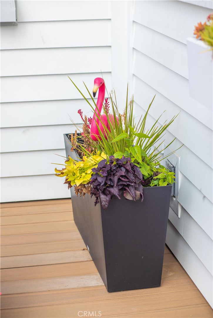 33751 Copper Lantern Street Dana Point, CA 92629 - Photo 28 of 38