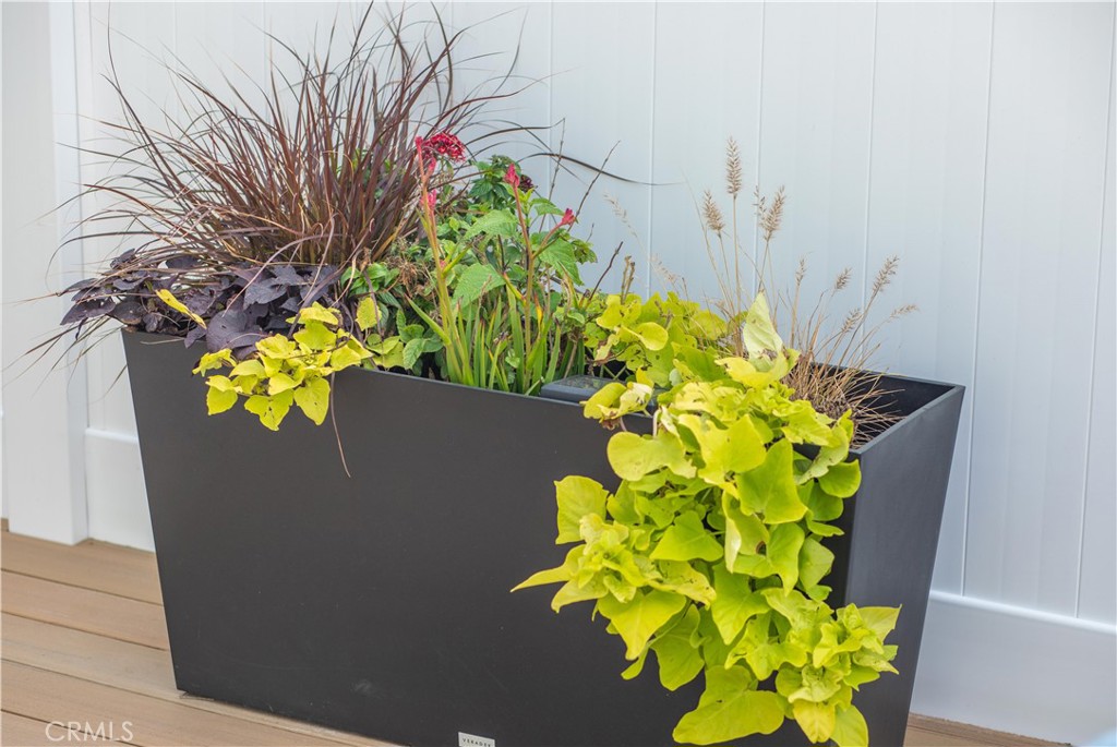 33751 Copper Lantern Street Dana Point, CA 92629 - Photo 29 of 38