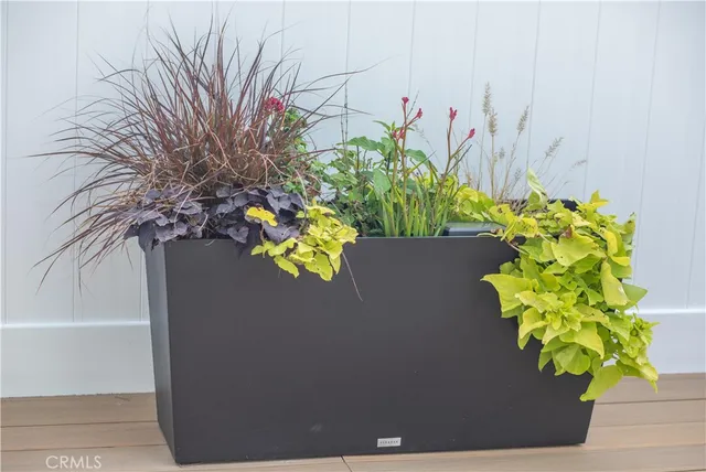 $3,800 | 33751 Copper Lantern Street, Dana Point, CA 92629