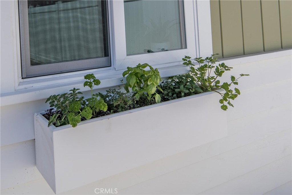 33751 Copper Lantern Street Dana Point, CA 92629 - Photo 33 of 38