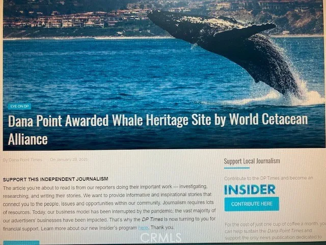 $3,800 | 33751 Copper Lantern Street, Dana Point, CA 92629