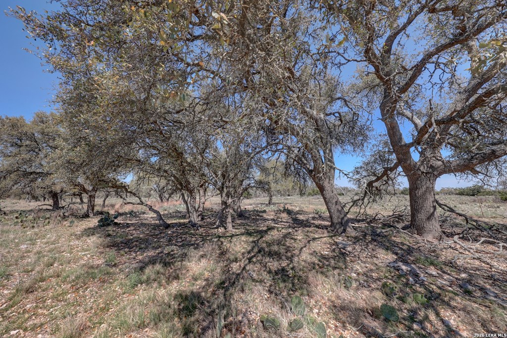 1443 Gina Road Harper, TX 78631 - Photo 20 of 49