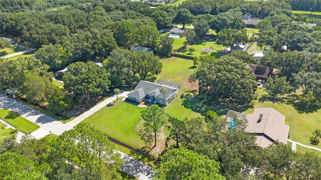 17269 Raintree Road Lutz, FL 33558 - Photo 49 of 62 Gallery Image 49