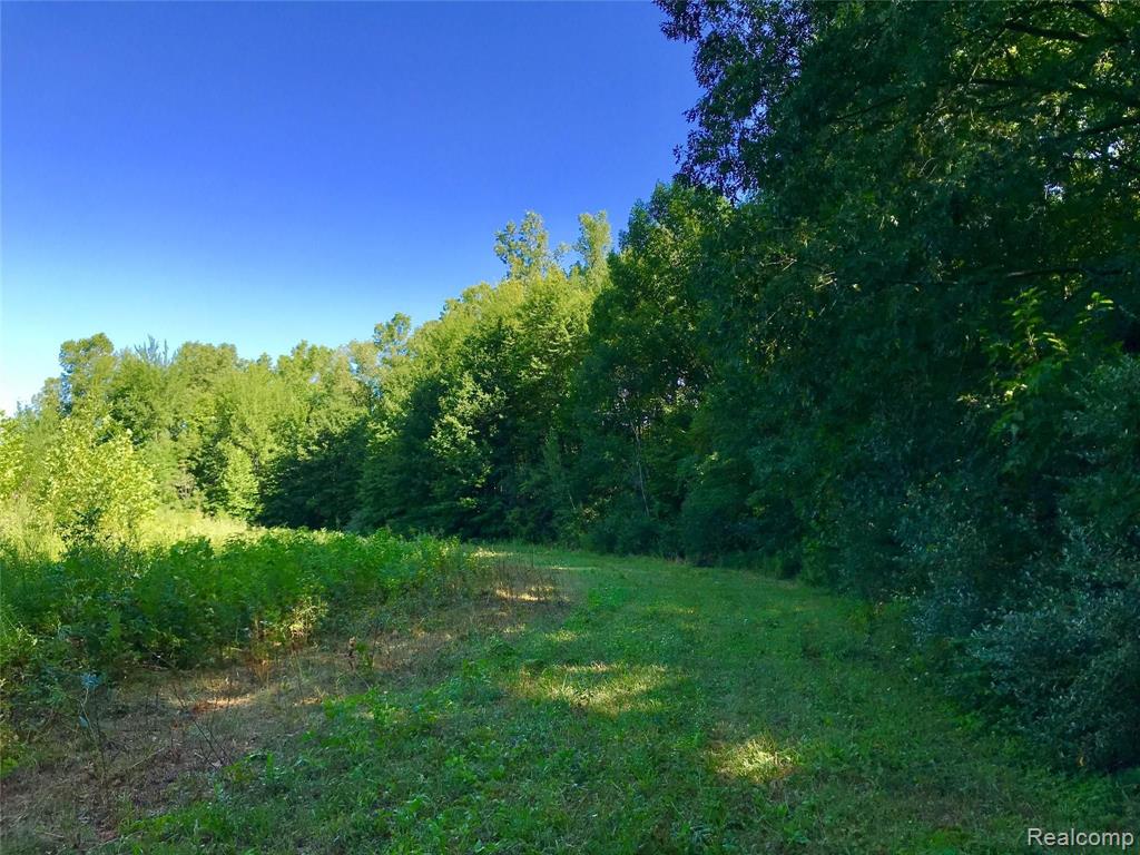 Vl Whittaker Road Ypsilanti, MI 48197 - Photo 8 of 10