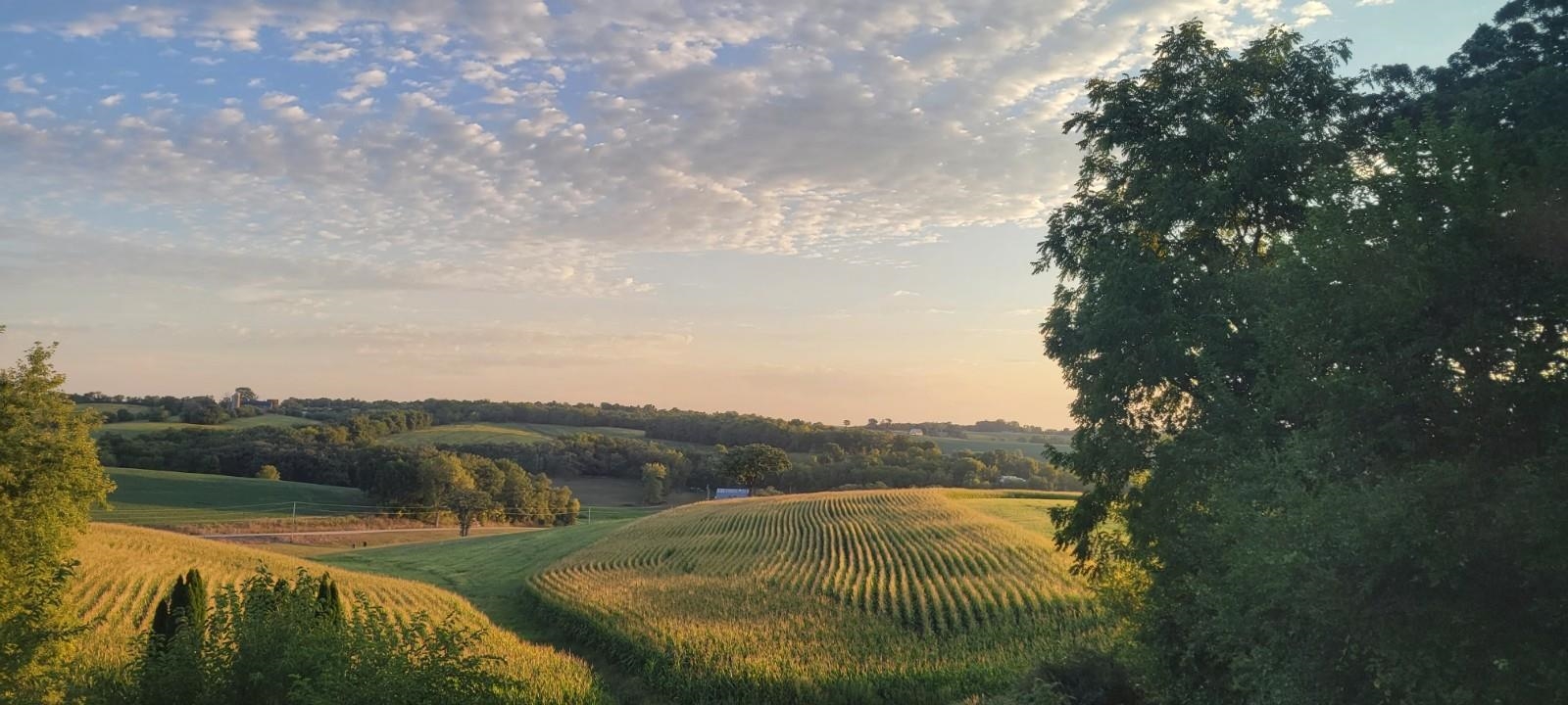 N8436 Marty Road New Glarus, WI 53574 - Photo 33 of 37