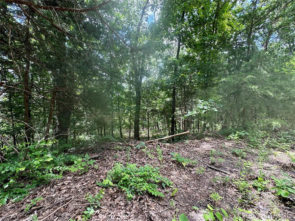 Tbd Bluebird Lane Rolla, MO 65401 - Photo 3 of 5