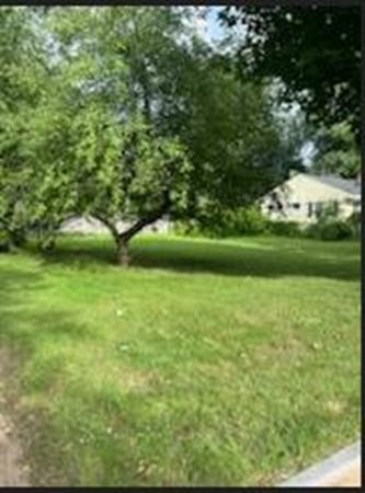 239 Plumtree Road Springfield, MA 01118 - Photo 4 of 14 a view of a field with an trees
