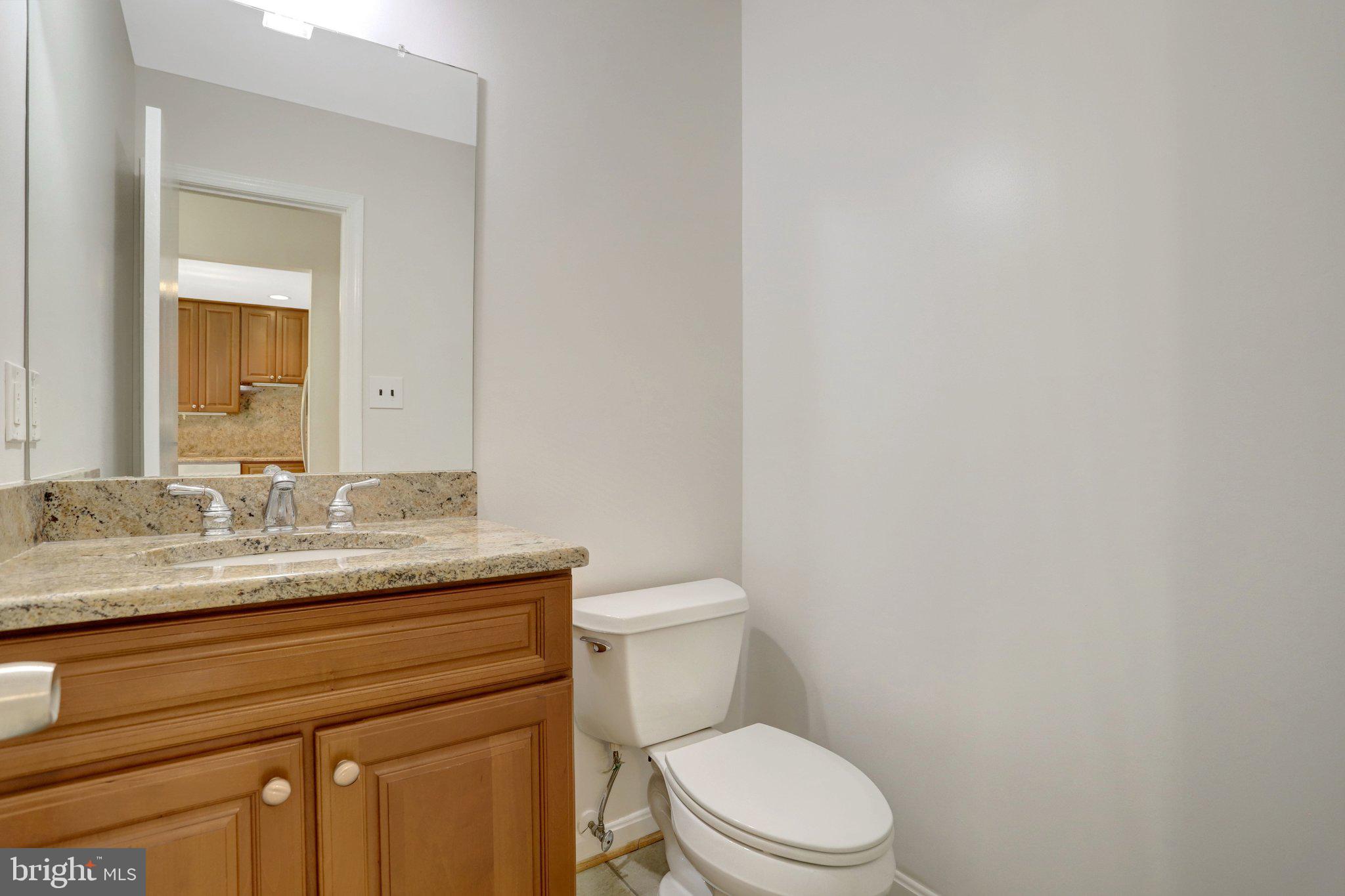 7416 Spring Tree Drive Springfield, VA 22153 - Photo 18 of 60 Gallery Image 18