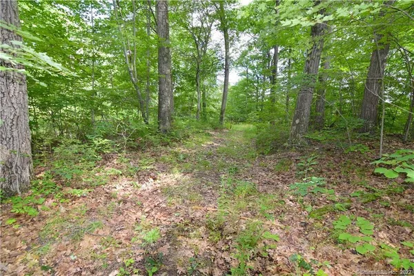 $950,000 | 0 Montoe Road, Waterbury, CT 06704