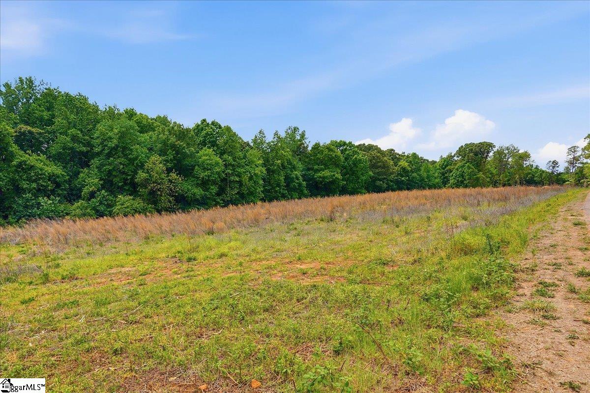 0 Parris Farm Road, Unit LOT 5 Chesnee, SC 29323 - Photo 17 of 26