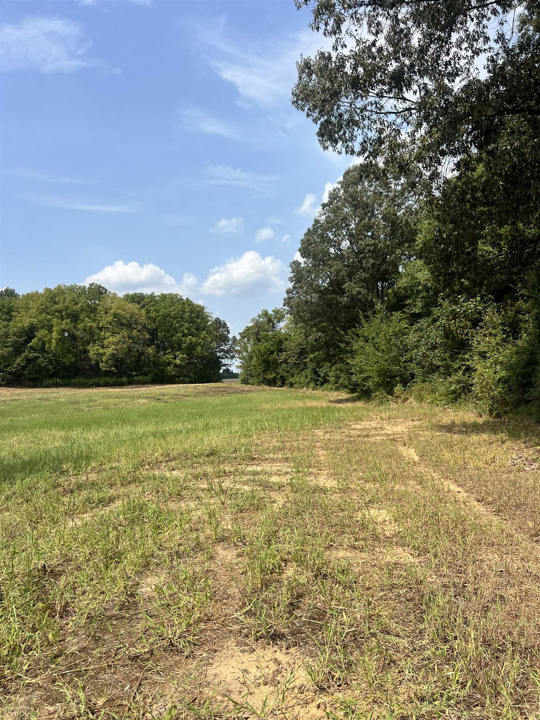 3 Andrew Road Mason, TN 38049 - Photo 7 of 11 a view of an outdoor space and deck
