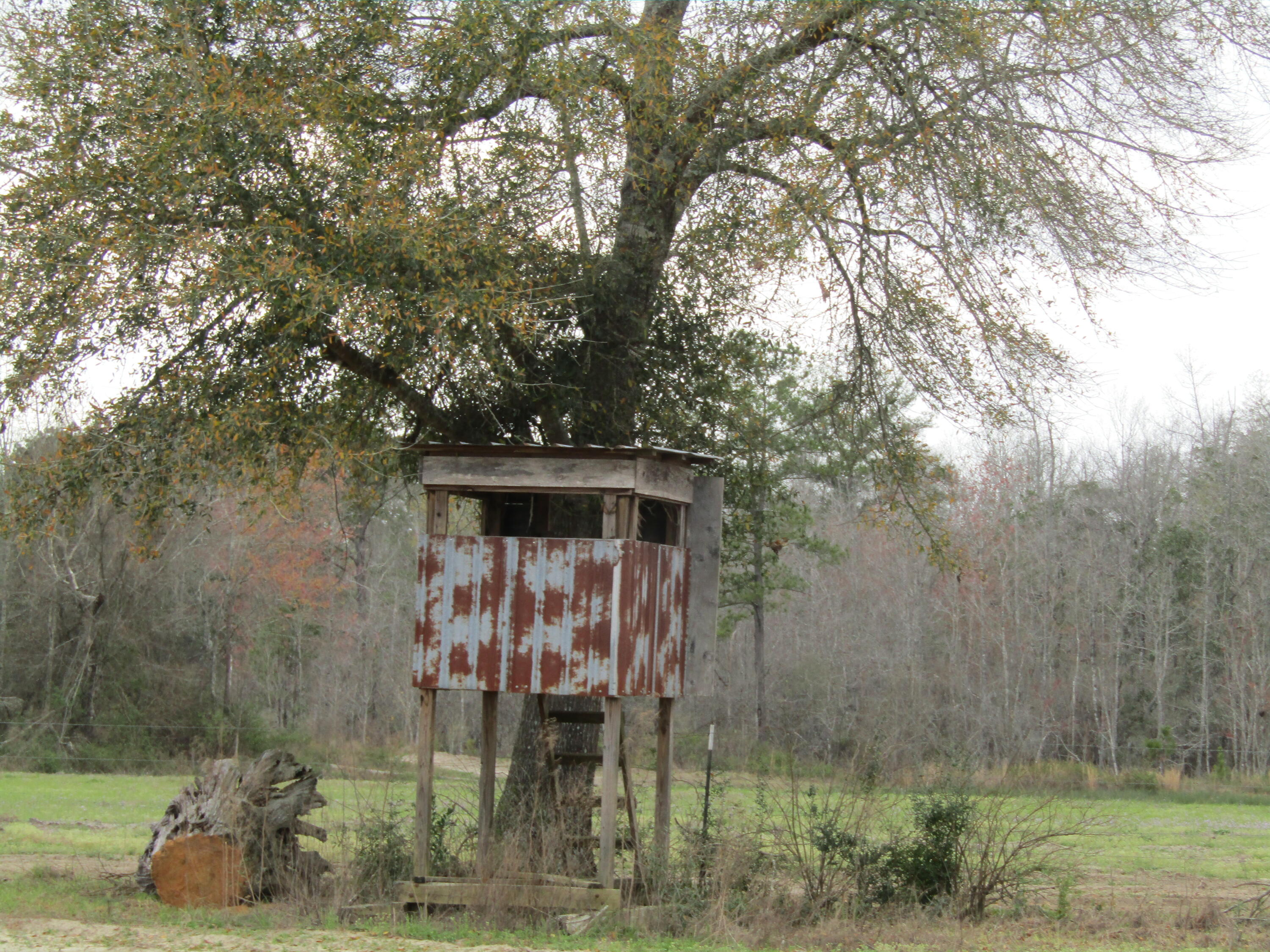 2948 Alford Road Samson, AL 36477 - Photo 103 of 121 a backyard of a house with table and chairs