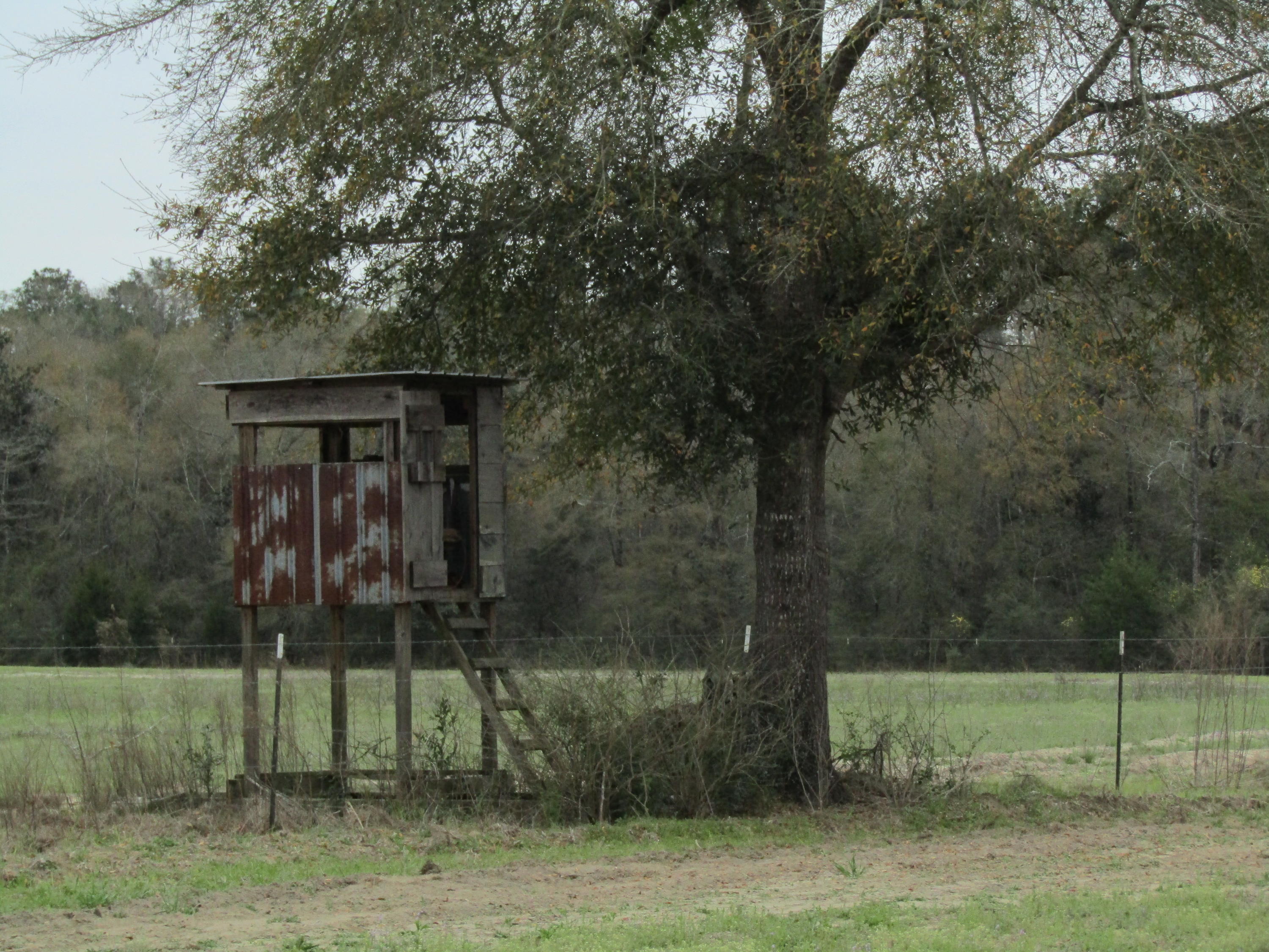 2948 Alford Road Samson, AL 36477 - Photo 104 of 121 a view of a house with a backyard