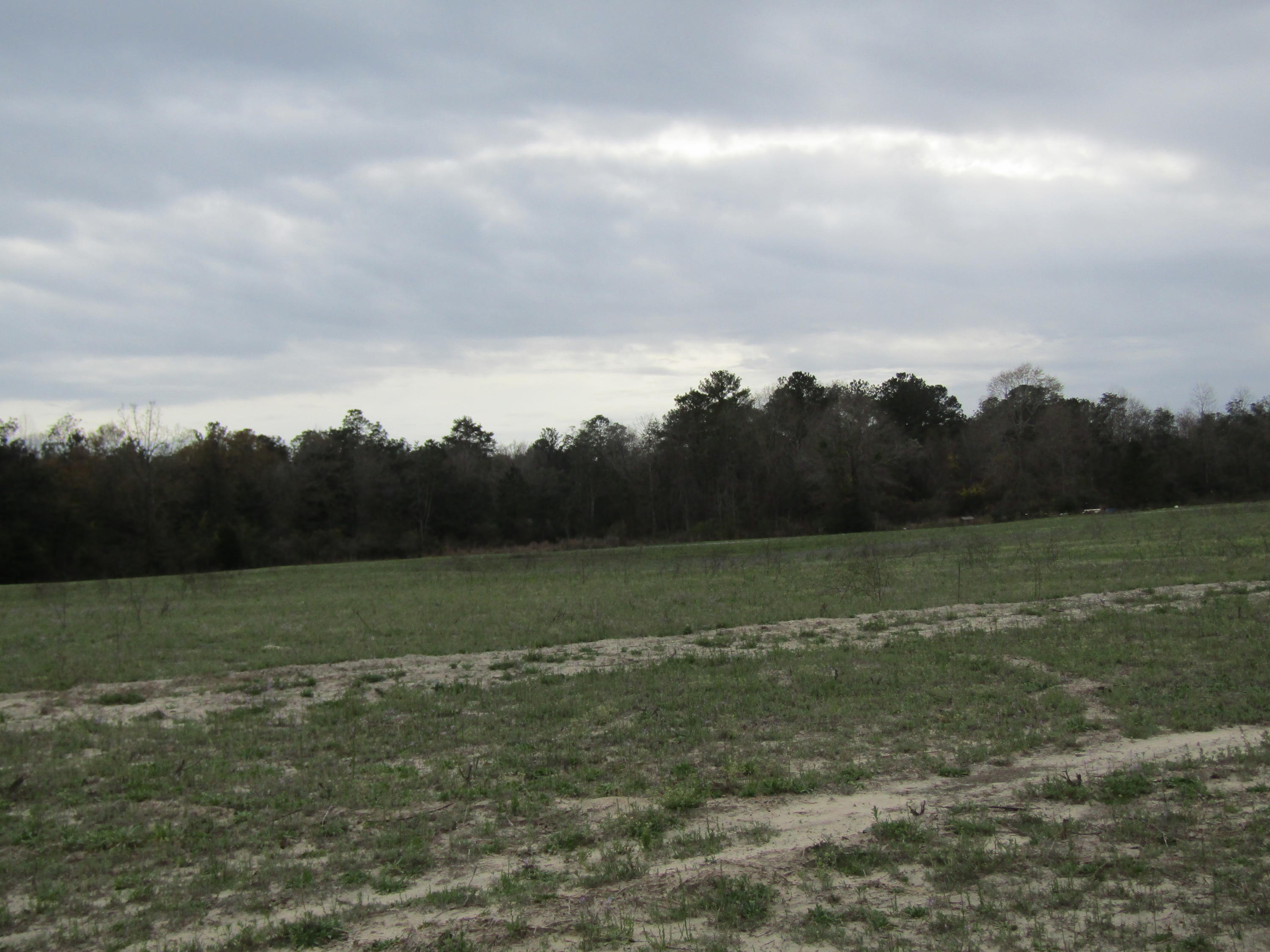 2948 Alford Road Samson, AL 36477 - Photo 109 of 121 IMG_1812