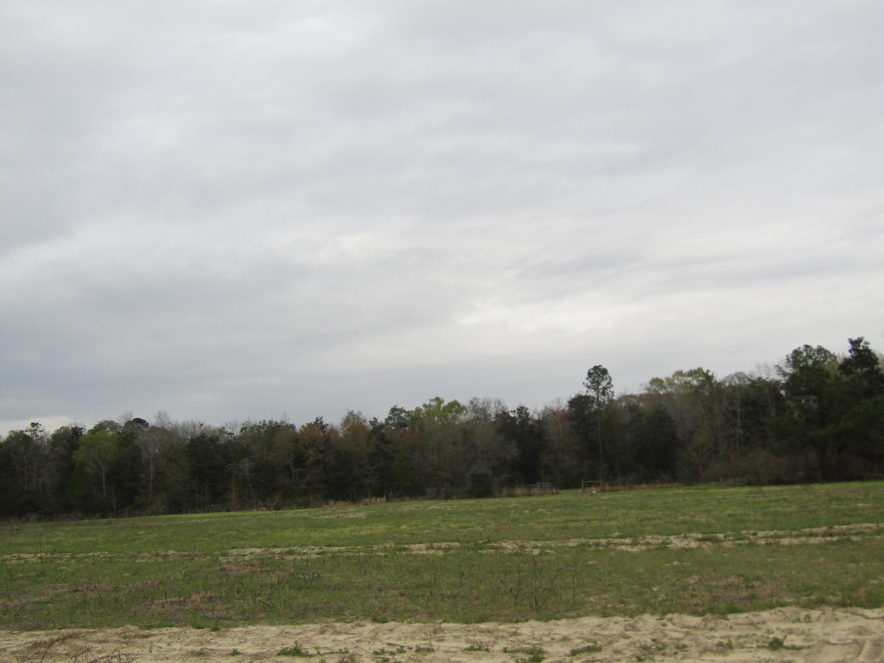 2948 Alford Road Samson, AL 36477 - Photo 111 of 121 IMG_1814