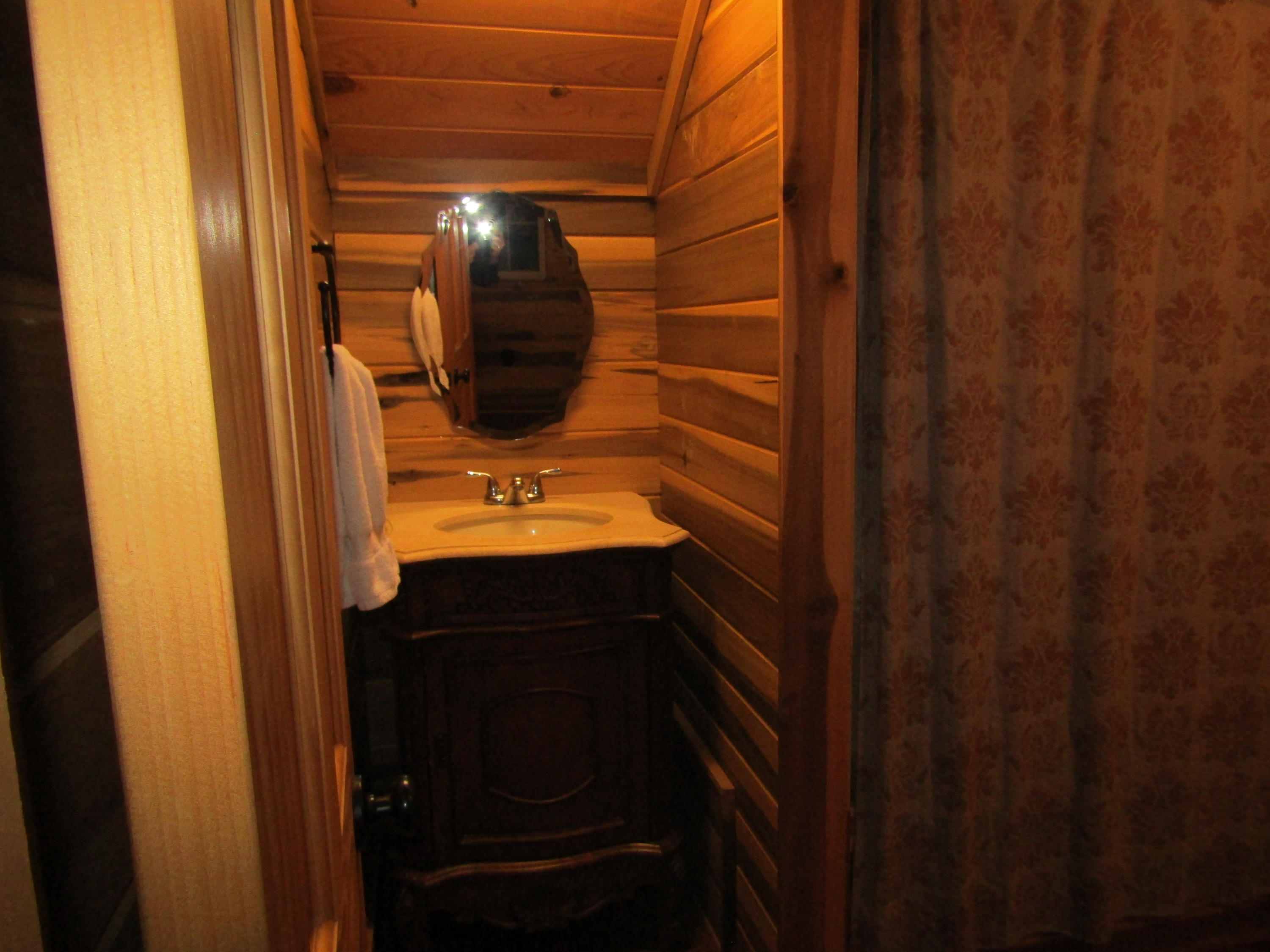 2948 Alford Road Samson, AL 36477 - Photo 31 of 121 a bathroom with a sink and mirror