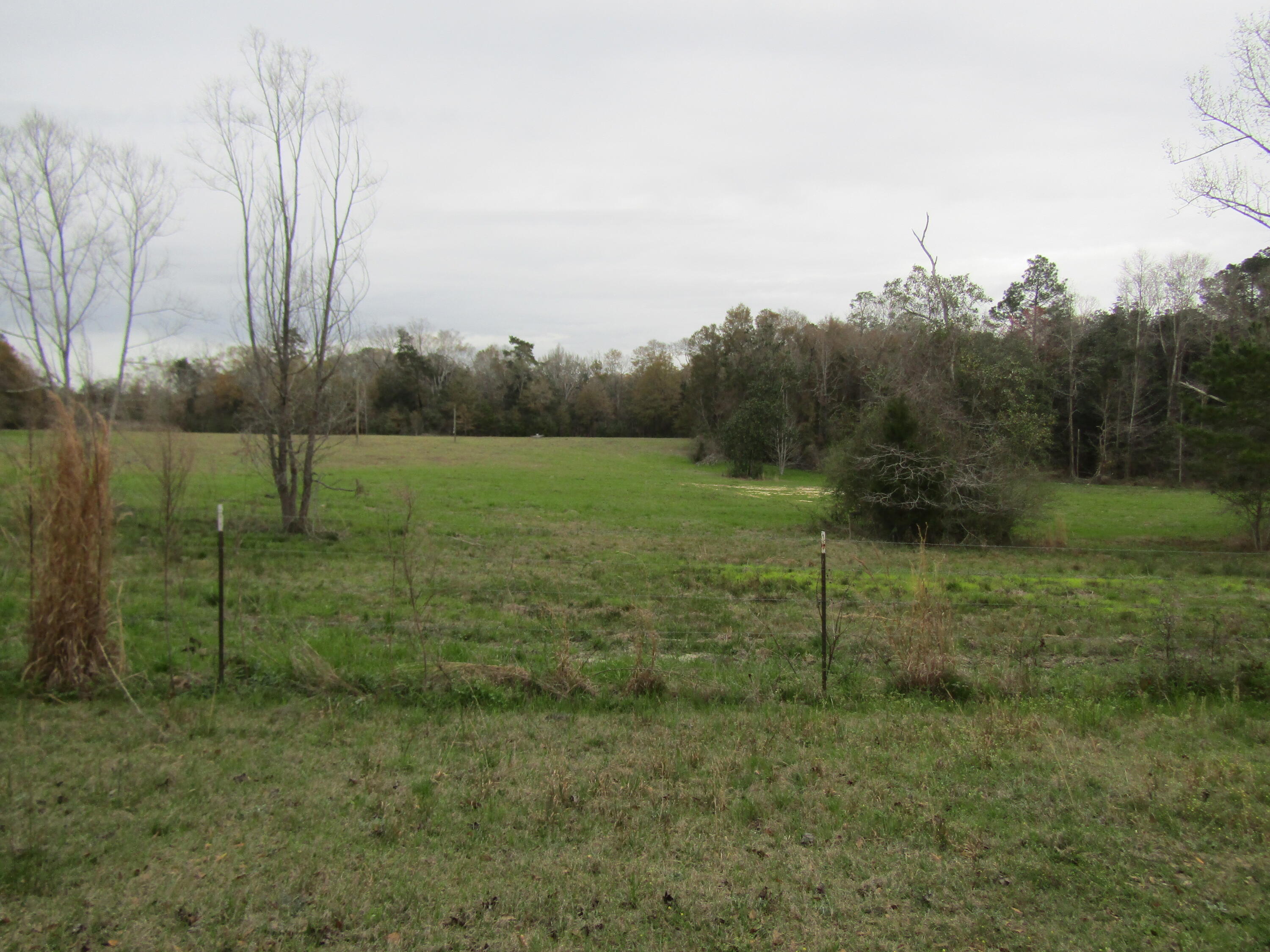 2948 Alford Road Samson, AL 36477 - Photo 44 of 121 cleared