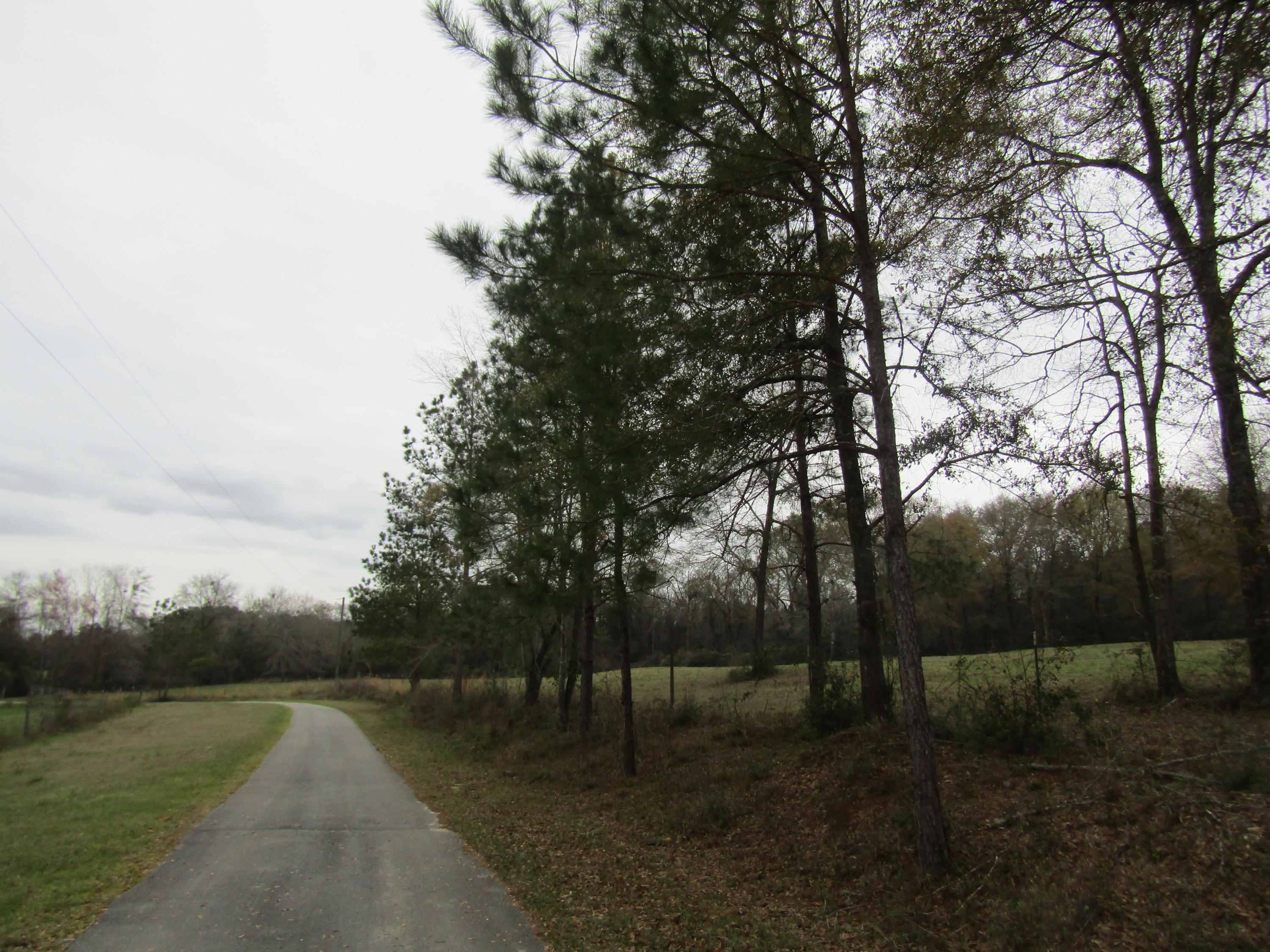 2948 Alford Road Samson, AL 36477 - Photo 50 of 121 IMG_1688