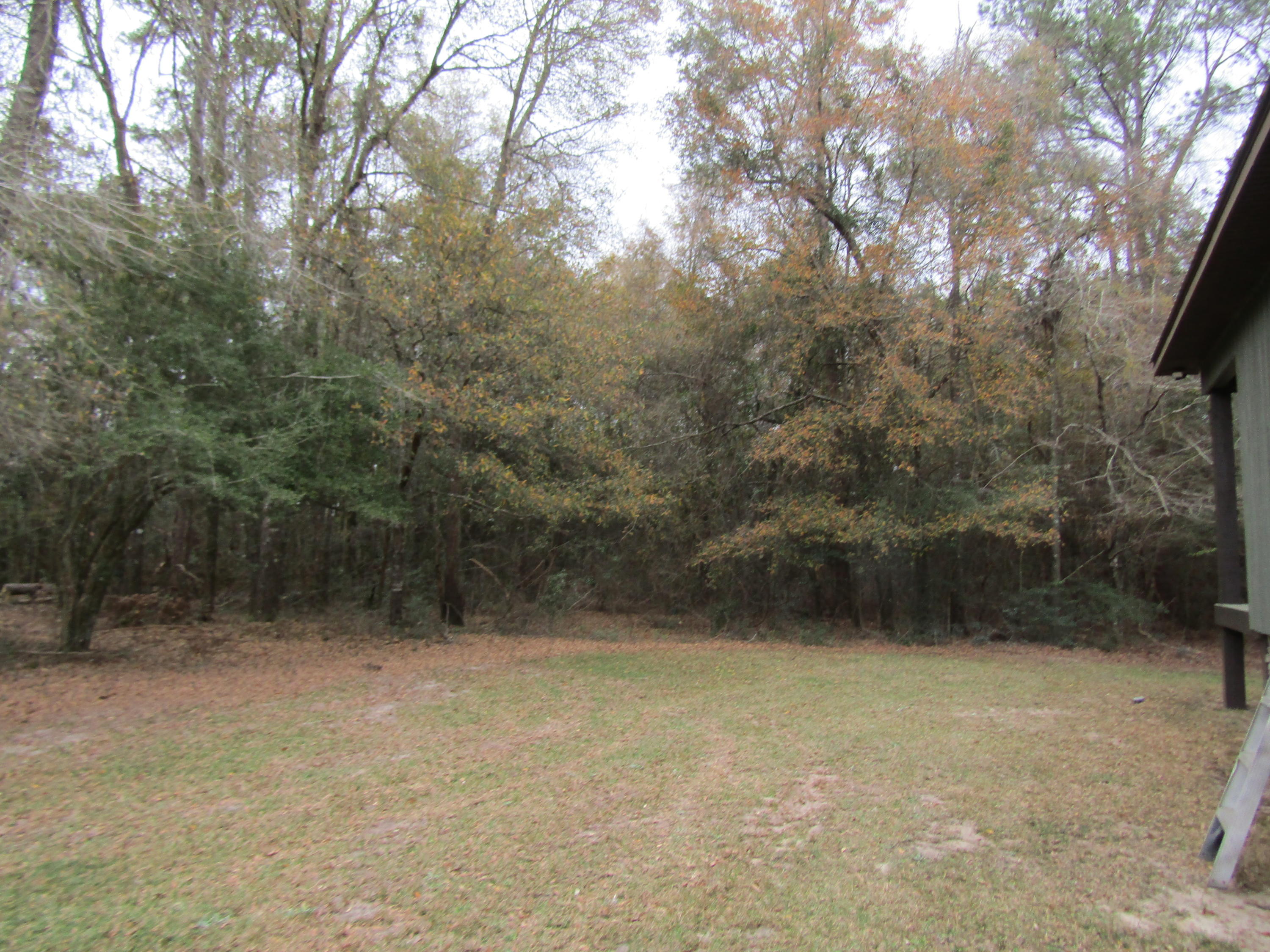 2948 Alford Road Samson, AL 36477 - Photo 57 of 121 backyard
